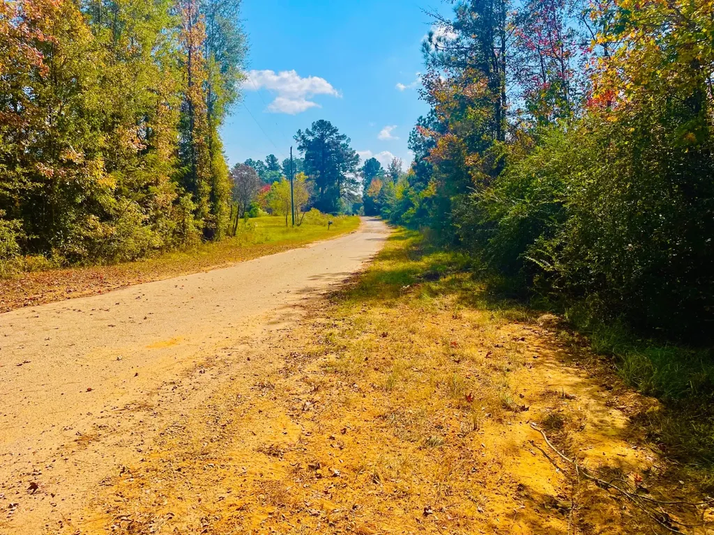 1 Mt Olive Road Butler AL 36904