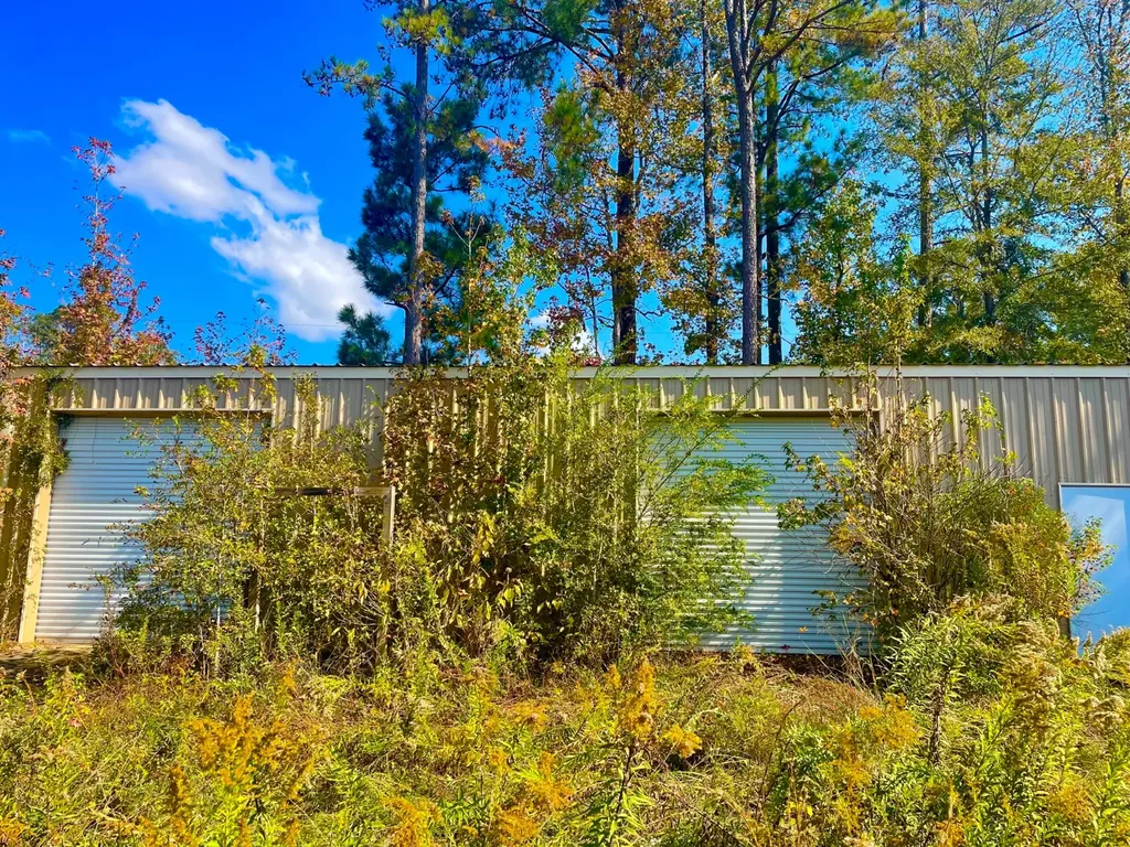 1 Mt Olive Road Butler AL 36904