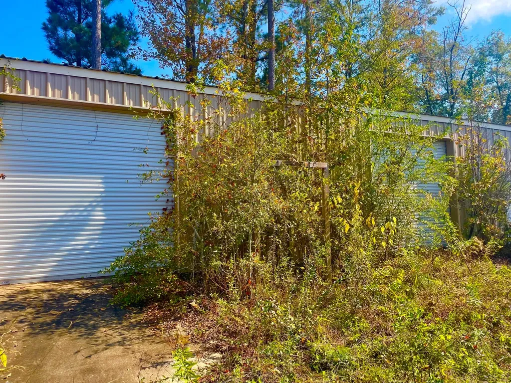 1 Mt Olive Road Butler AL 36904