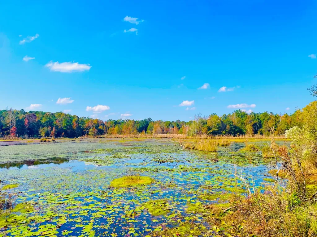 1 Mt Olive Road Butler AL 36904