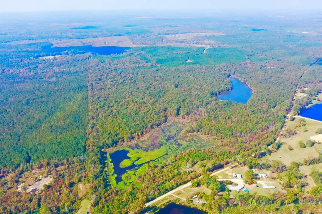1 Mt Olive Road Butler AL 36904