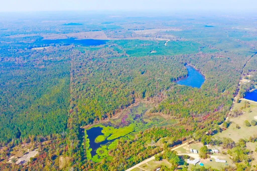 1 Mt Olive Road Butler AL 36904