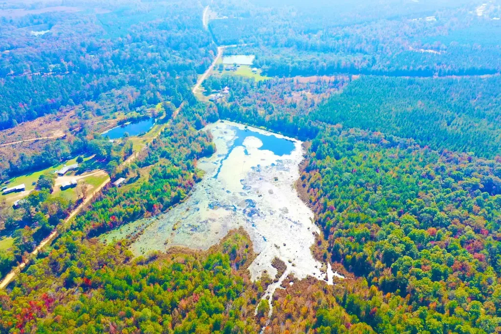 1 Mt Olive Road Butler AL 36904