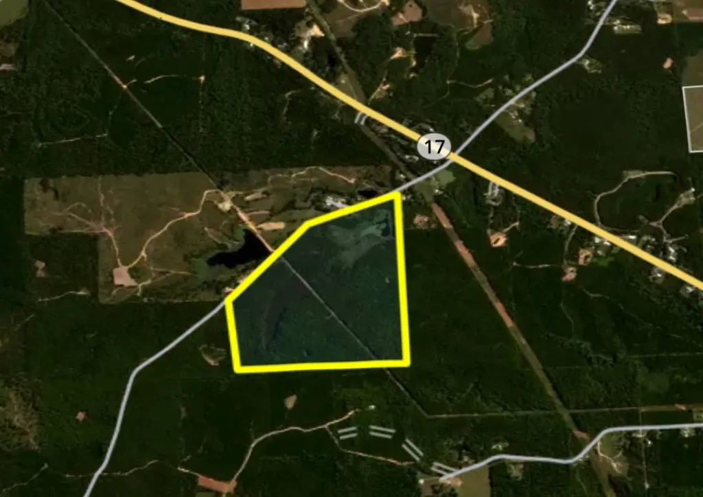 1 Mt Olive Road Butler AL 36904