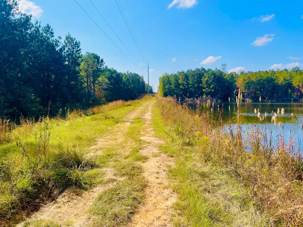 1 Mt Olive Road Butler AL 36904