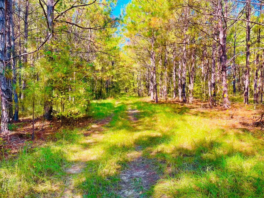 1 Mt Olive Road Butler AL 36904