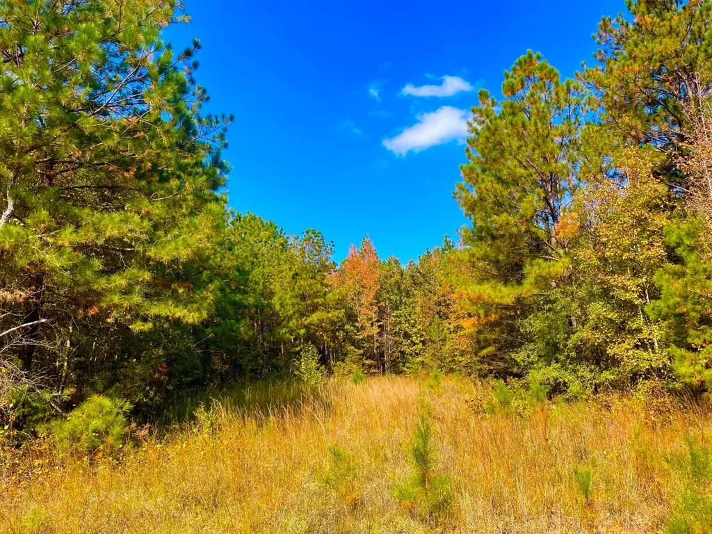 1 Mt Olive Road Butler AL 36904
