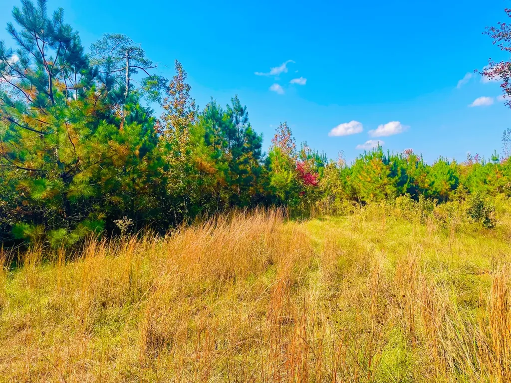1 Mt Olive Road Butler AL 36904