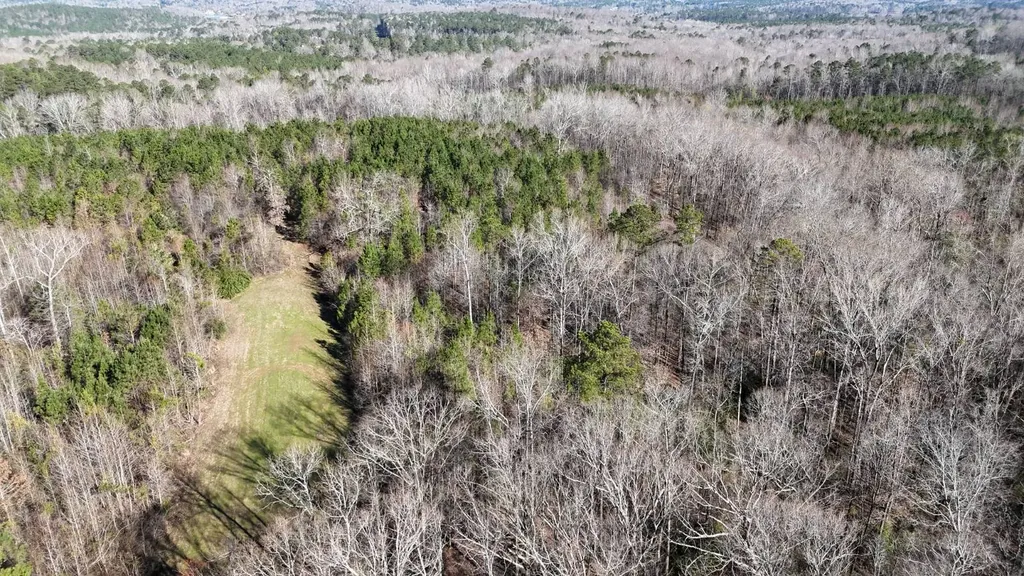 0-A Barrons Bridge Road Dadeville AL 36853