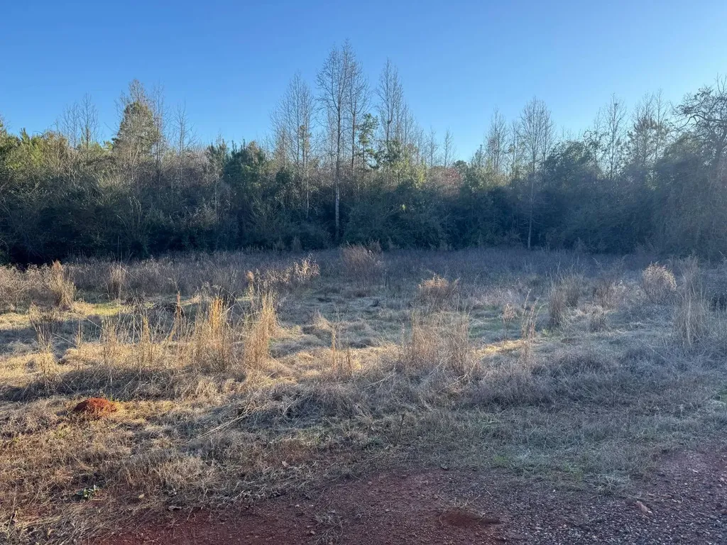 0-A Barrons Bridge Road Dadeville AL 36853