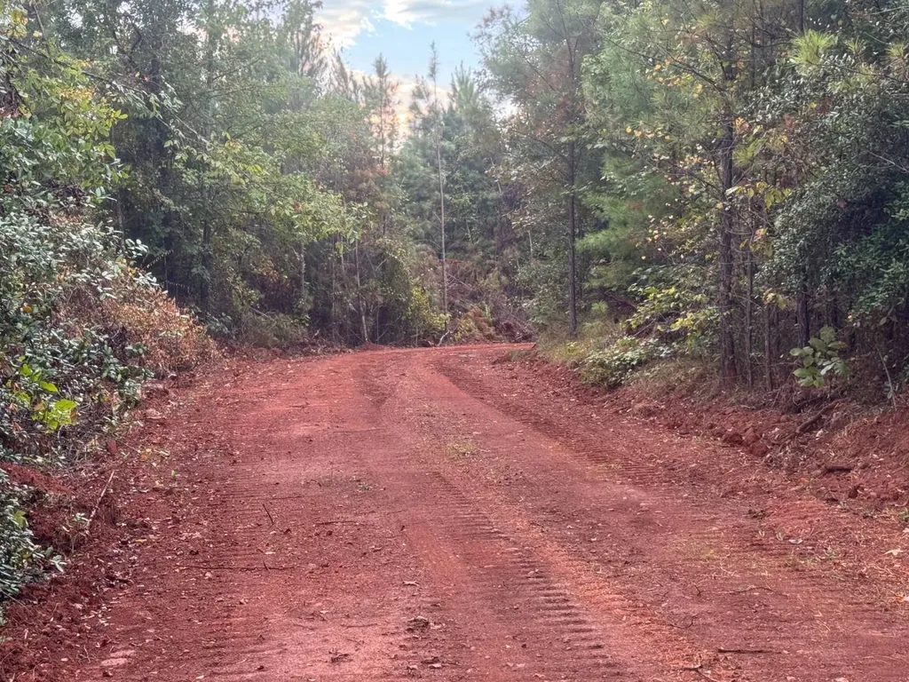 0-A Barrons Bridge Road Dadeville AL 36853