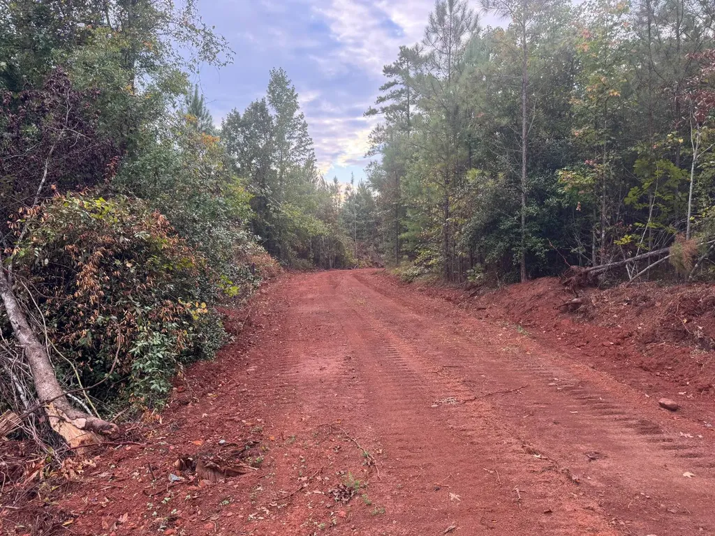 0-A Barrons Bridge Road Dadeville AL 36853