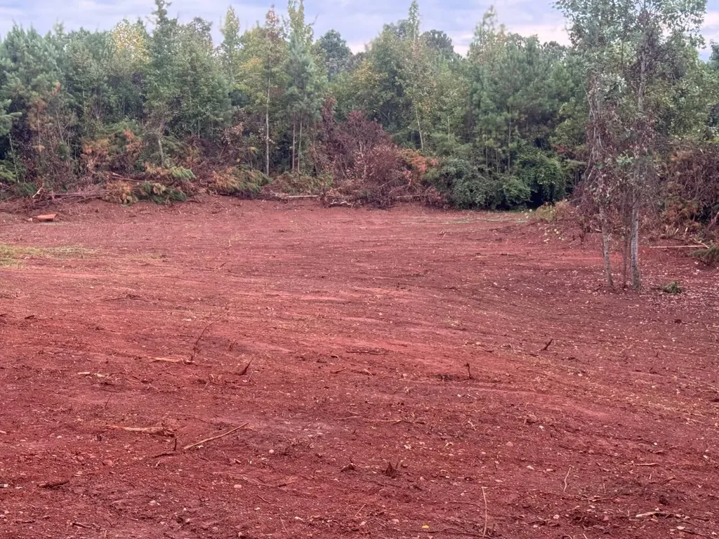 0-A Barrons Bridge Road Dadeville AL 36853