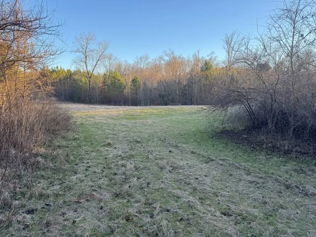 0-A Barrons Bridge Road Dadeville AL 36853