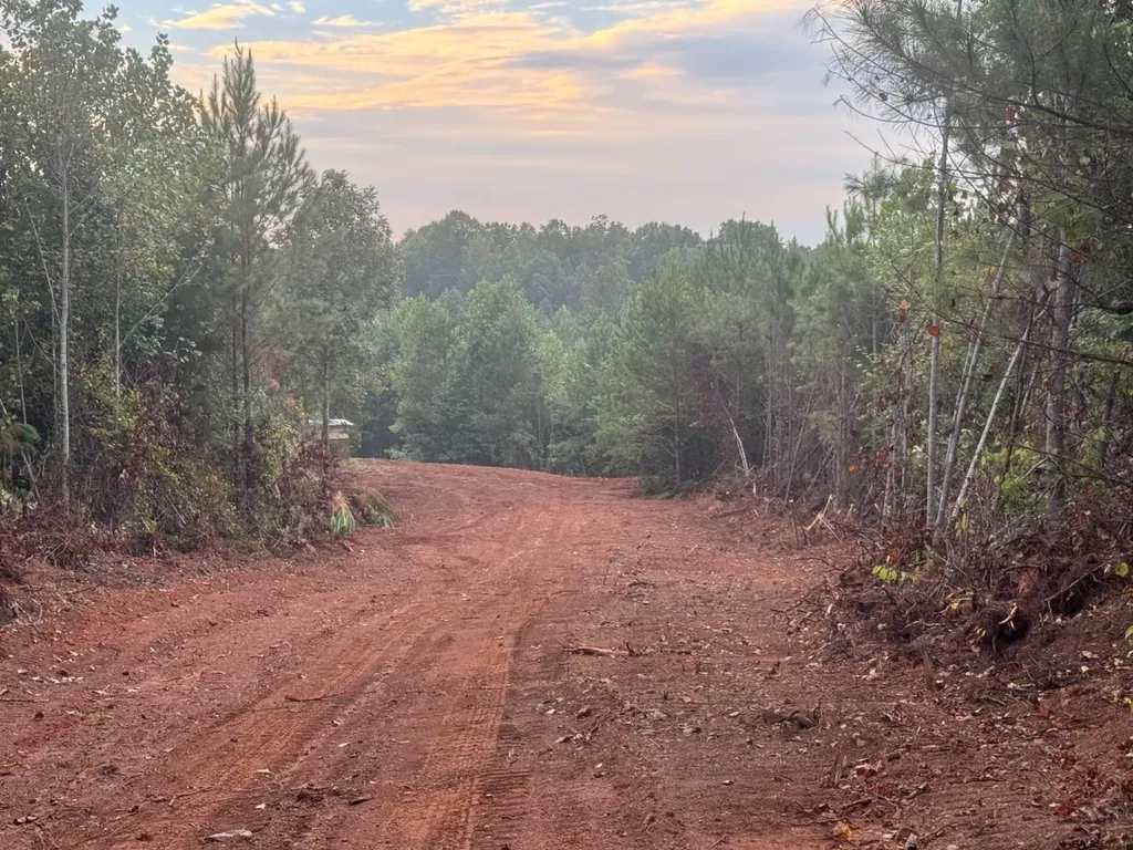 0-A Barrons Bridge Road Dadeville AL 36853