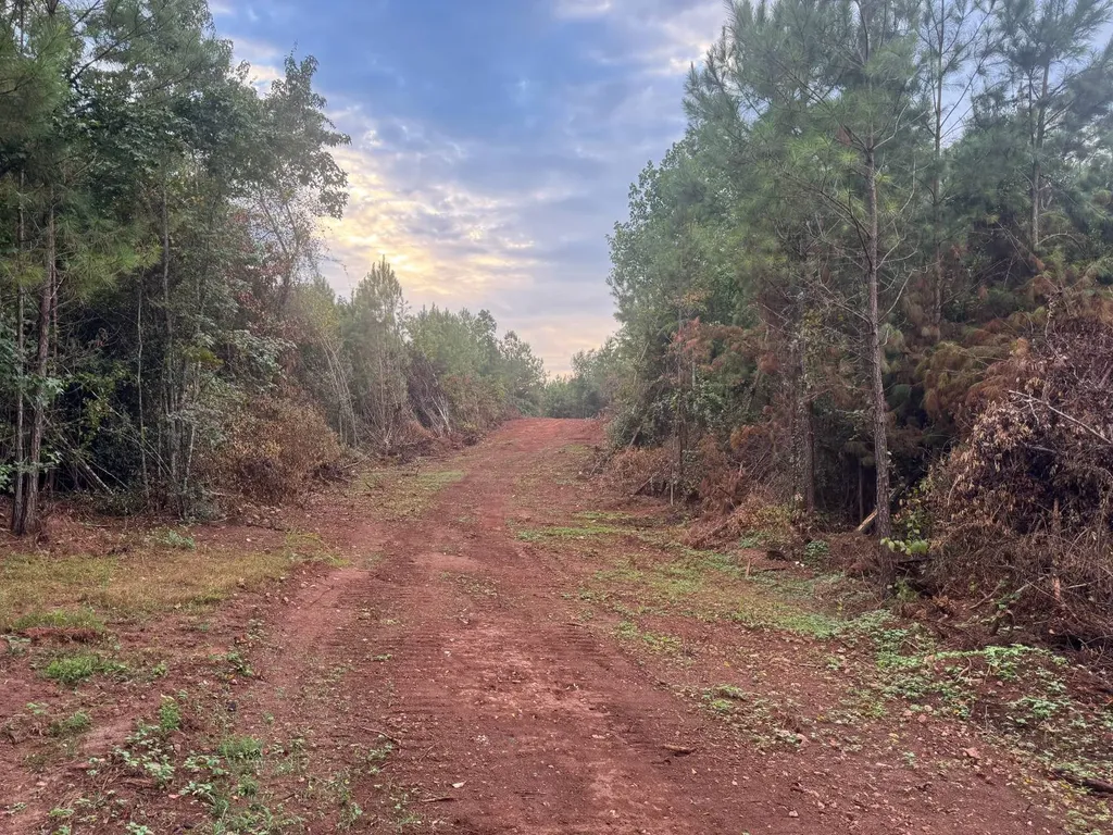 0-A Barrons Bridge Road Dadeville AL 36853