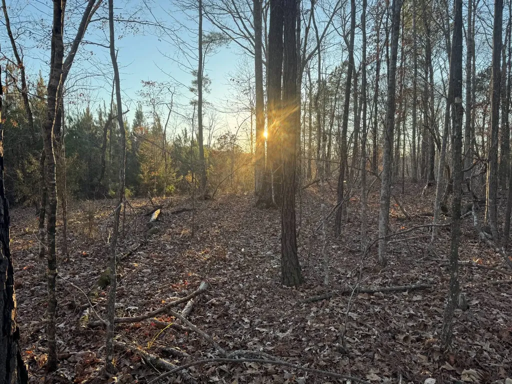 0-A Barrons Bridge Road Dadeville AL 36853