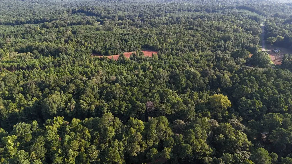 0-A Barrons Bridge Road Dadeville AL 36853