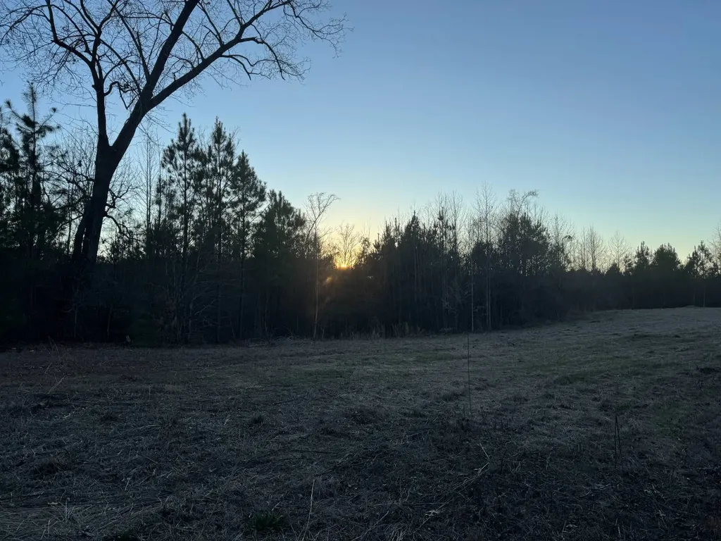 0-A Barrons Bridge Road Dadeville AL 36853