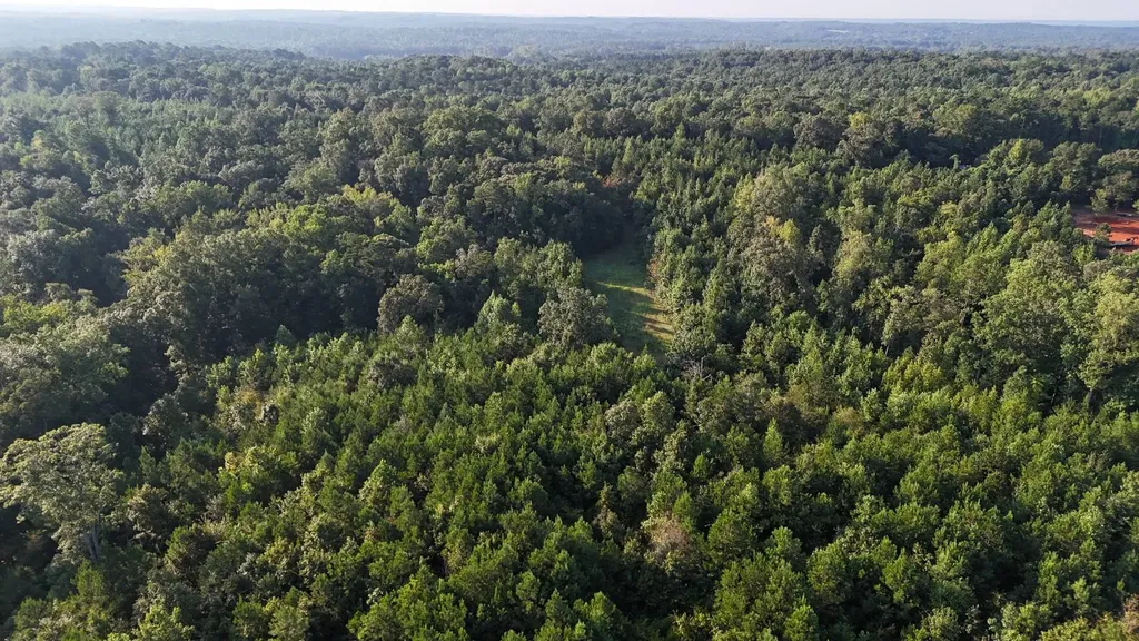 0-A Barrons Bridge Road Dadeville AL 36853