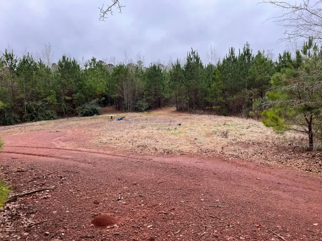 0-A Barrons Bridge Road Dadeville AL 36853