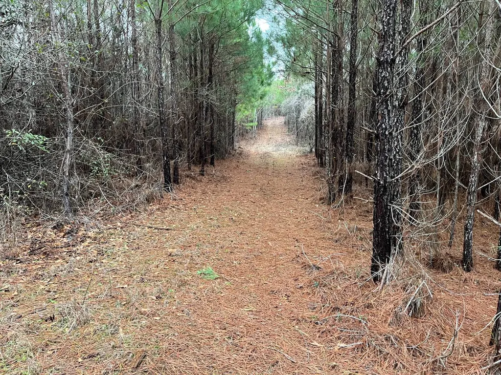 0-A Barrons Bridge Road Dadeville AL 36853