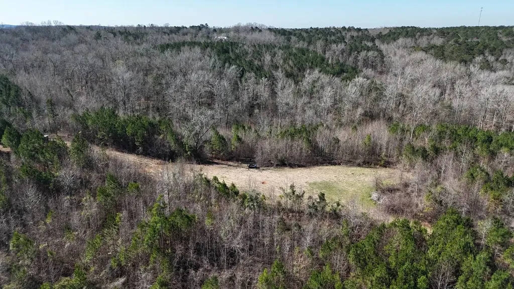 0-A Barrons Bridge Road Dadeville AL 36853