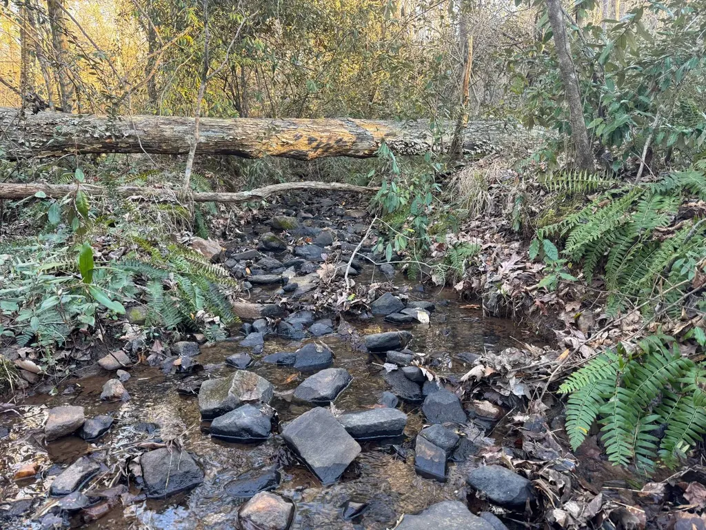 0-A Barrons Bridge Road Dadeville AL 36853