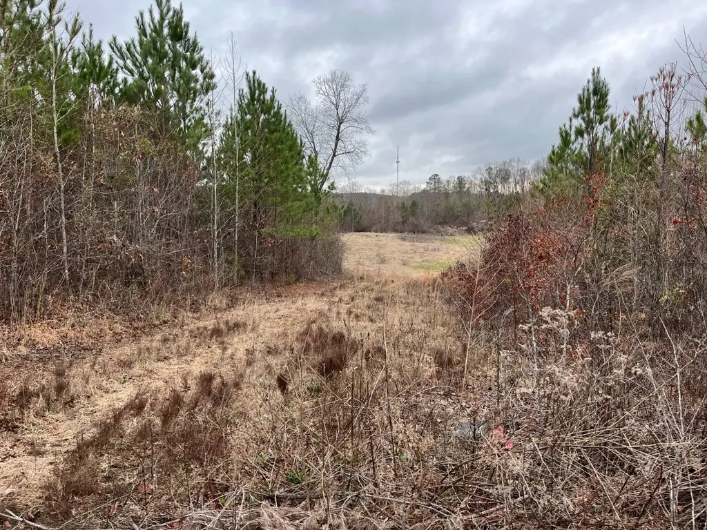 0-A Barrons Bridge Road Dadeville AL 36853