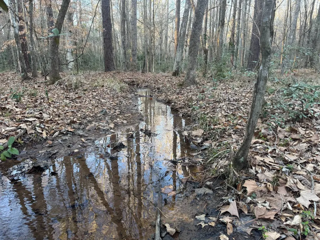 0-A Barrons Bridge Road Dadeville AL 36853