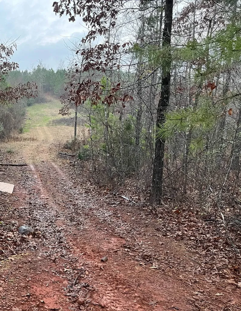 0-A Barrons Bridge Road Dadeville AL 36853