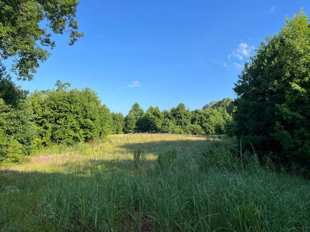 0-A Barrons Bridge Road Dadeville AL 36853