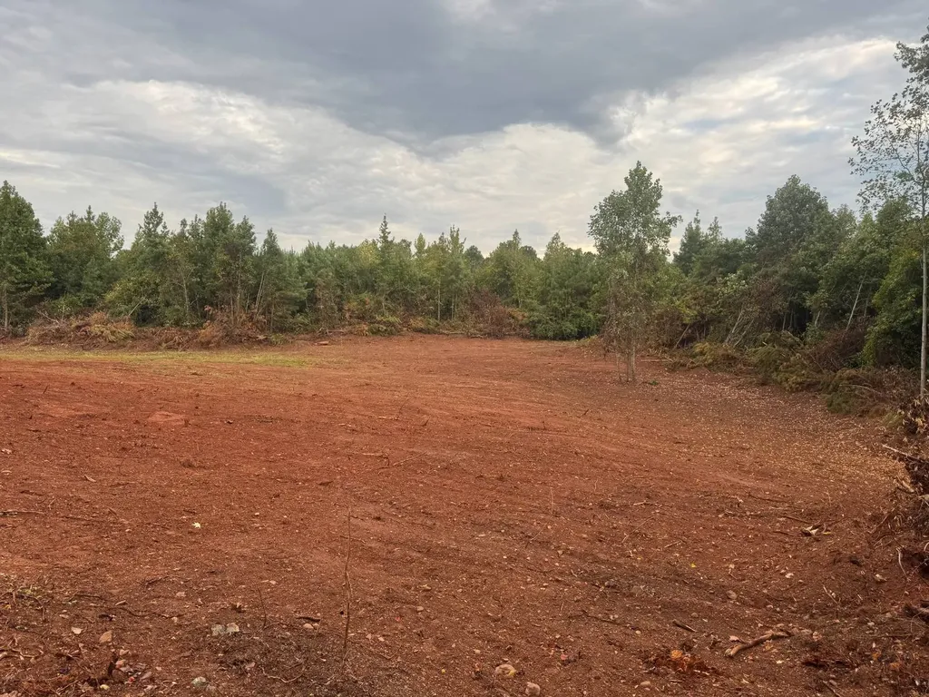 0-A Barrons Bridge Road Dadeville AL 36853