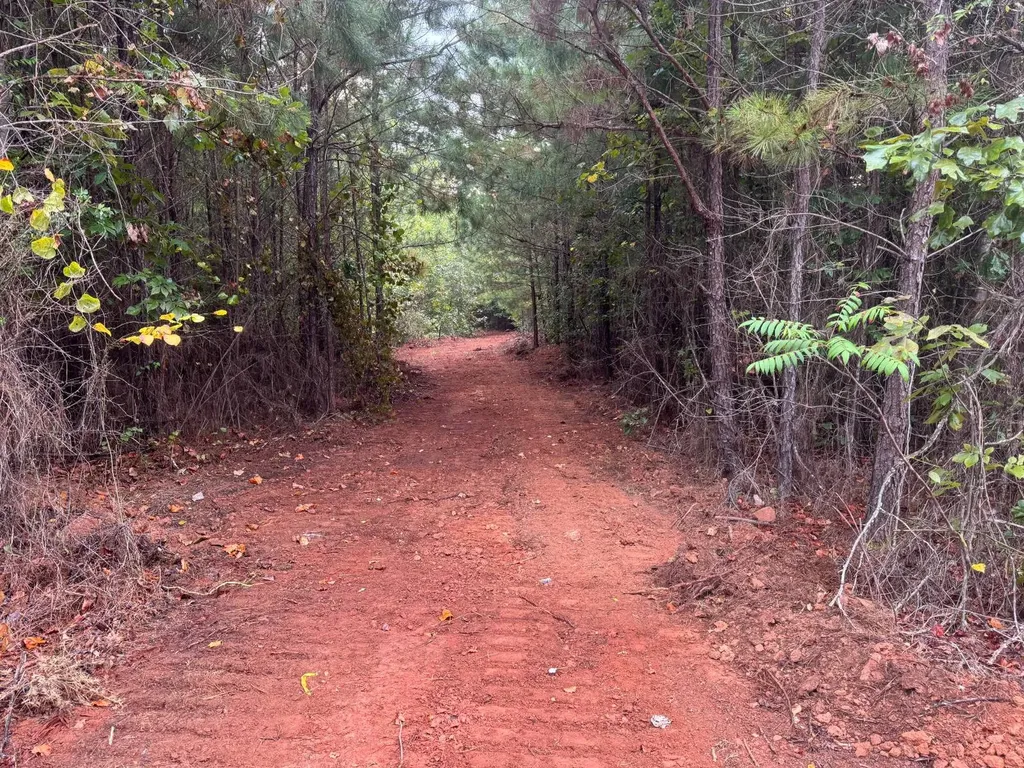 0-A Barrons Bridge Road Dadeville AL 36853