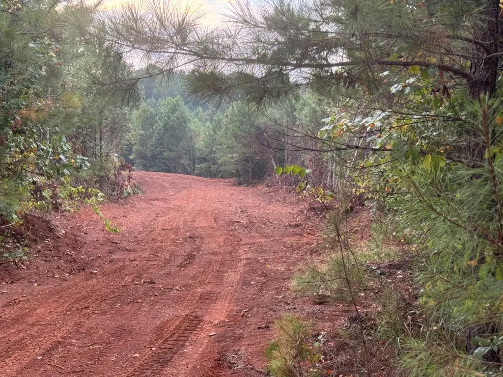 0-A Barrons Bridge Road Dadeville AL 36853