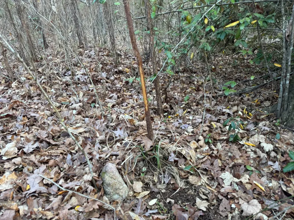 0-A Barrons Bridge Road Dadeville AL 36853