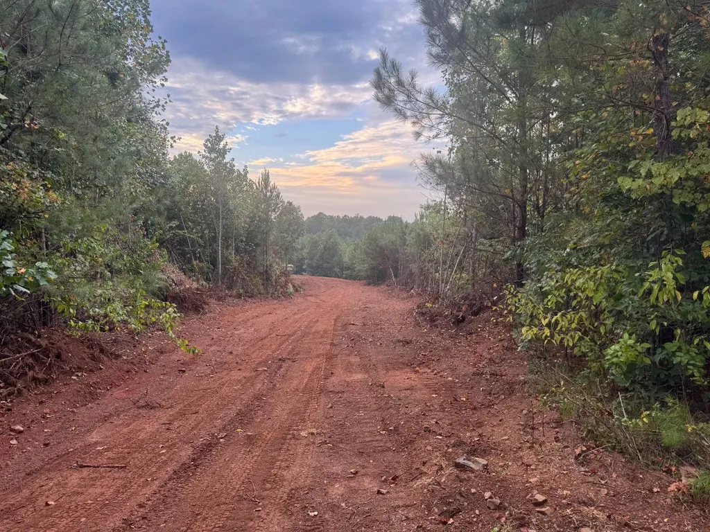 0-A Barrons Bridge Road Dadeville AL 36853