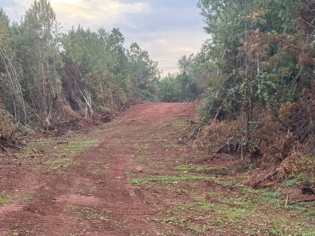 0-A Barrons Bridge Road Dadeville AL 36853