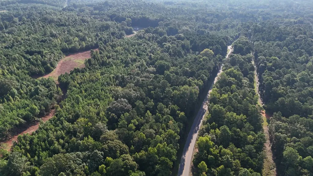 0-A Barrons Bridge Road Dadeville AL 36853