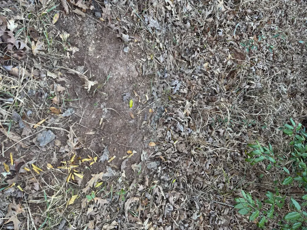 0-A Barrons Bridge Road Dadeville AL 36853