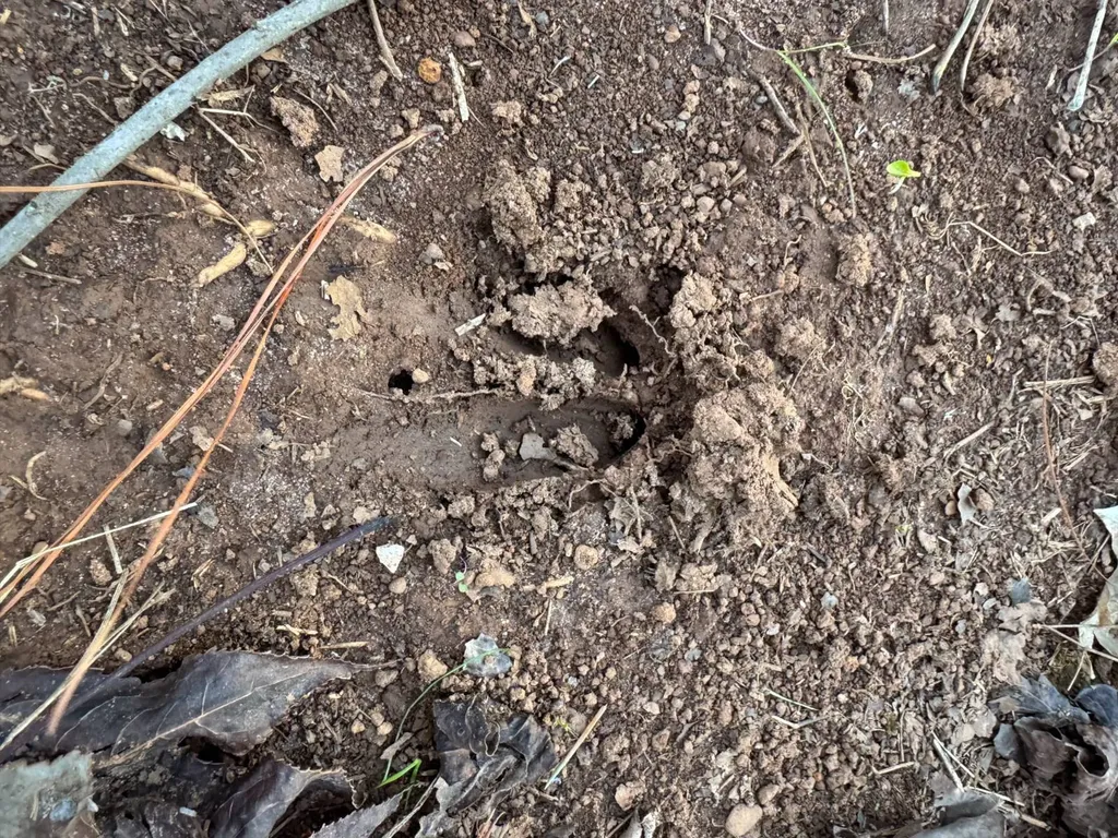 0-A Barrons Bridge Road Dadeville AL 36853