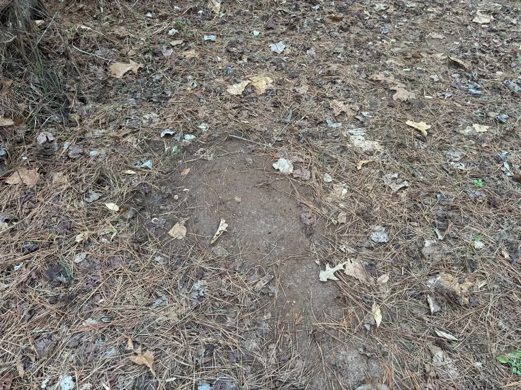 0-A Barrons Bridge Road Dadeville AL 36853