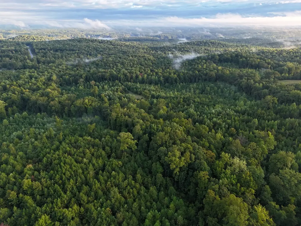 0-A Barrons Bridge Road Dadeville AL 36853