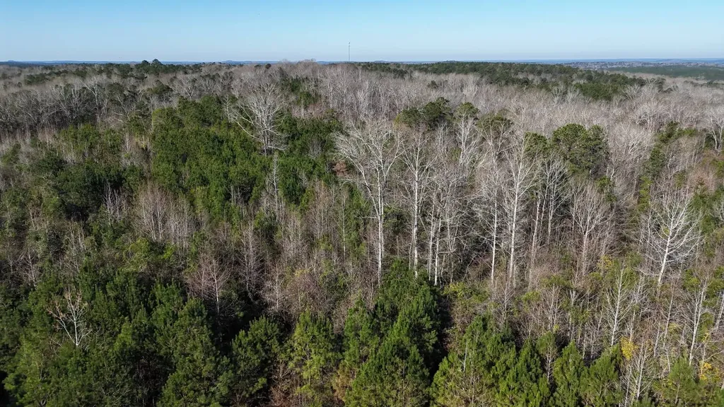 0-A Barrons Bridge Road Dadeville AL 36853