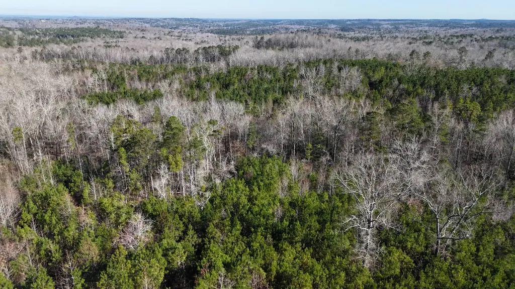 0-A Barrons Bridge Road Dadeville AL 36853