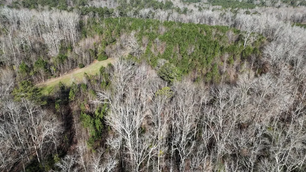 0-A Barrons Bridge Road Dadeville AL 36853