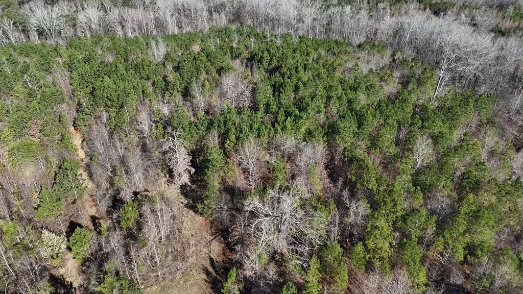 0-A Barrons Bridge Road Dadeville AL 36853