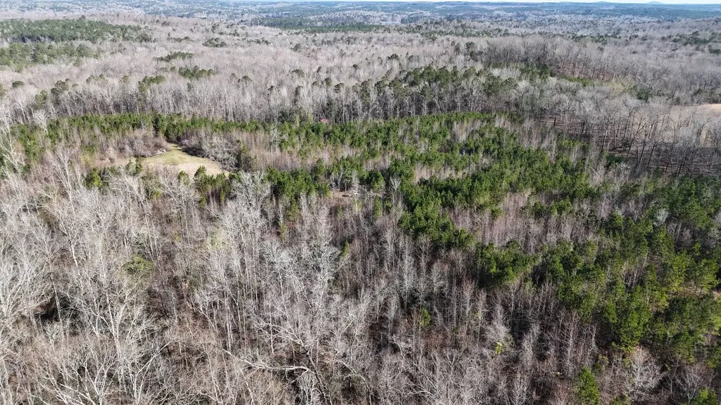 0-A Barrons Bridge Road Dadeville AL 36853