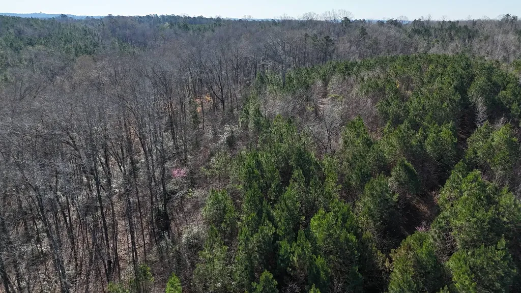 0-A Barrons Bridge Road Dadeville AL 36853