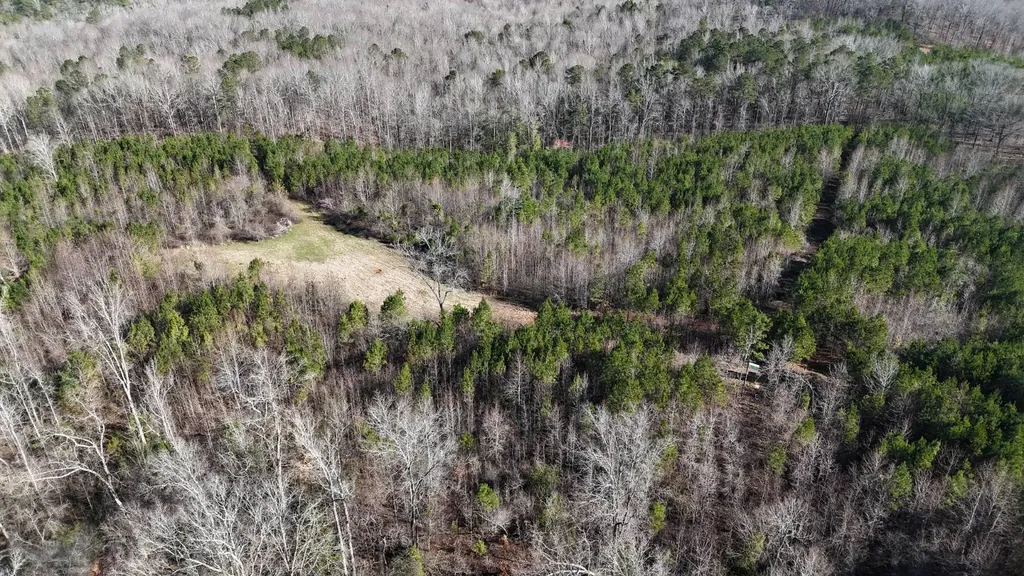 0-A Barrons Bridge Road Dadeville AL 36853